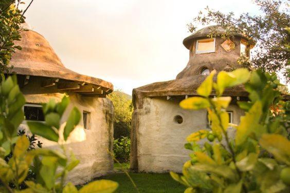 Solscape Villa Raglan Dış mekan fotoğraf